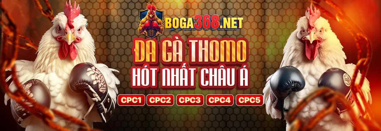 Các loại kèo đá gà phổ biến